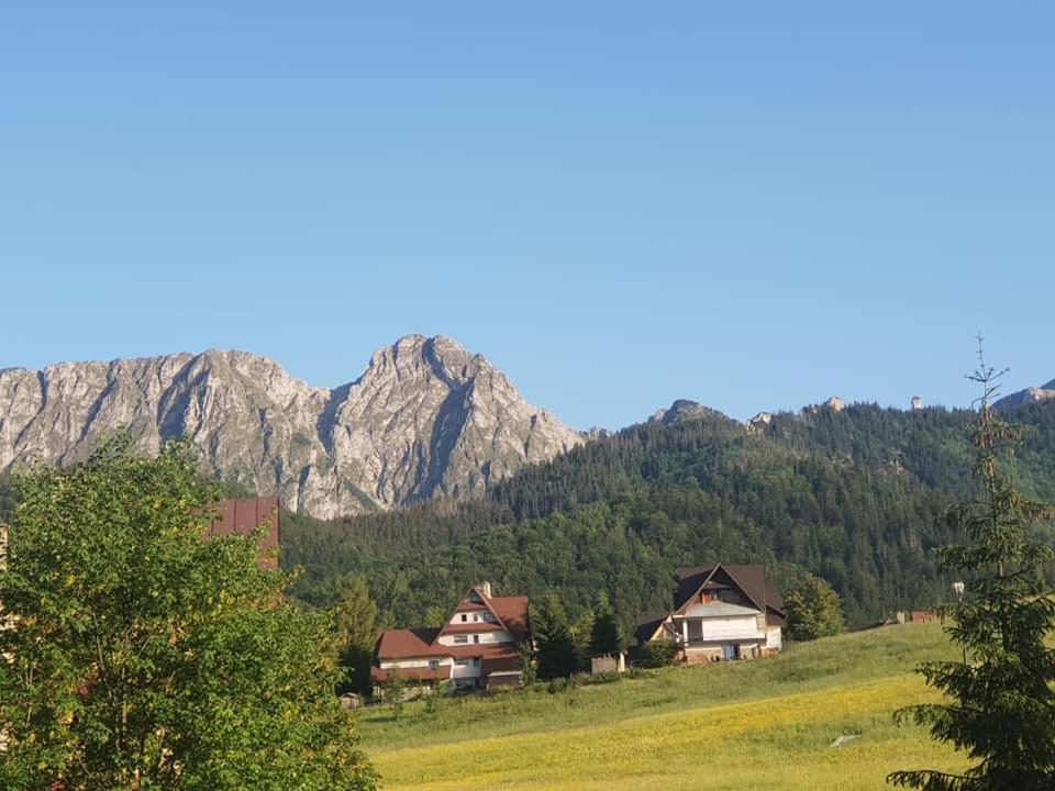 Willa Limba Kościelisko Exteriér fotografie
