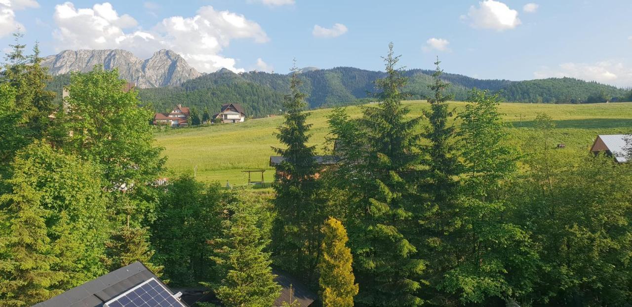 Willa Limba Kościelisko Exteriér fotografie