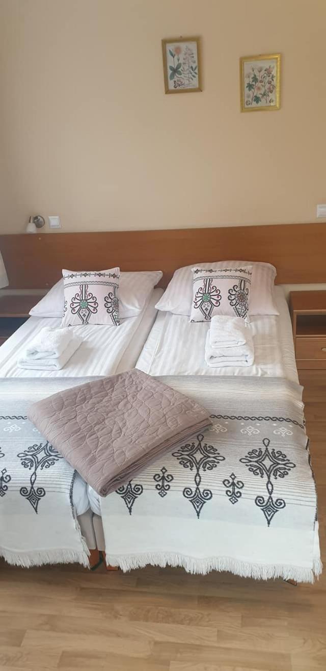 Willa Limba Kościelisko Exteriér fotografie